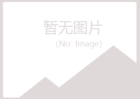 岱山县残缺制造有限公司